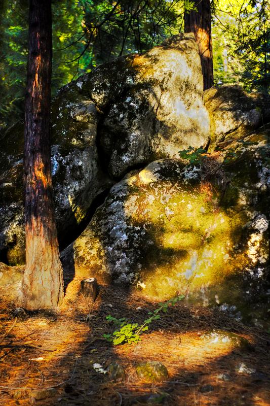 Rock Outcrop